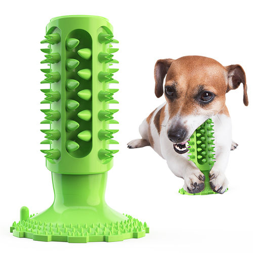 Lake Blue Durable Sounding Toothbrush Dog Toy