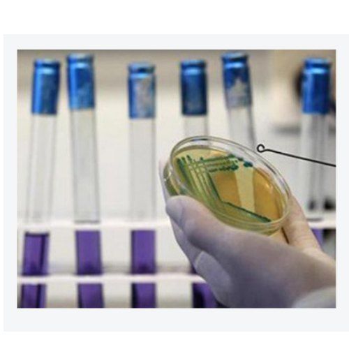 Microbiological Analysis Service