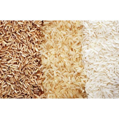Rice Testing Service