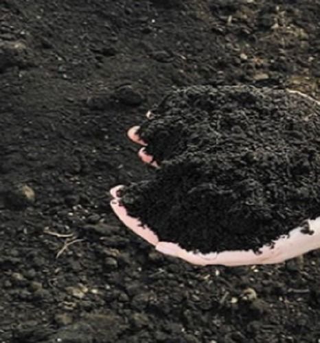 Black Bio Compost