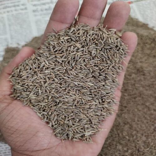 Healthy And Natural Cumin Seeds Grade: Food Grade