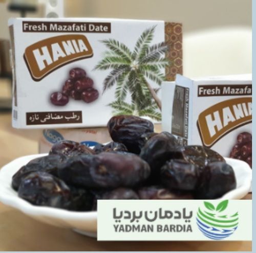 Brown Fresh Mazafati Iranian Dates