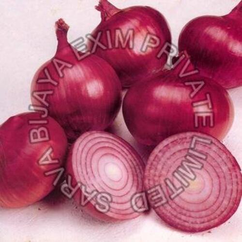 Round Healthy And Natural Fresh Red Onion