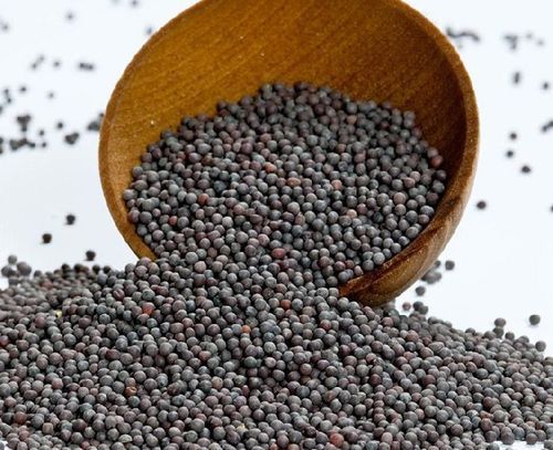 Black Mustard Seeds - 10-15kg Jute Bag | FSSAI Certified, Organic, Non-Harmful, Natural Taste, Very Good Quality