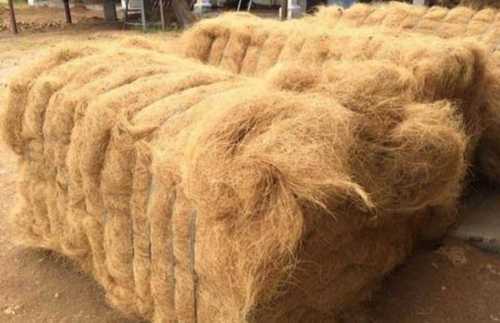 Light Brown Coconut Coir Fiber