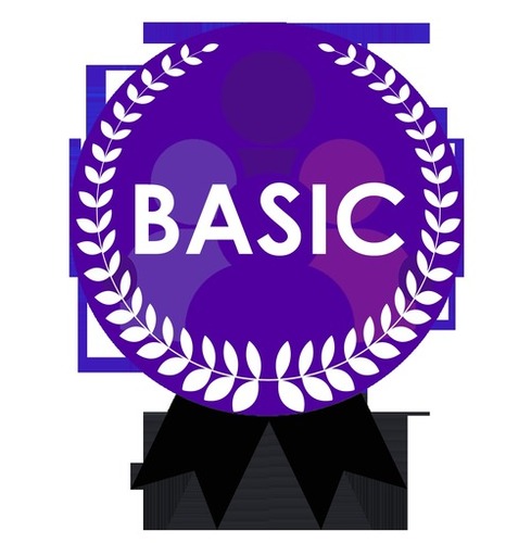 Email Marketing Services (Basic Plan)