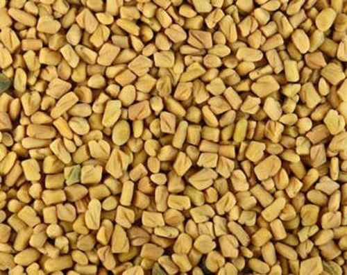 100% Organic Fenugreek Seeds Grade: A Grade