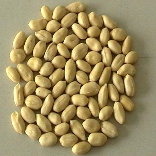 Organic Blanched Bold Peanuts Kernel