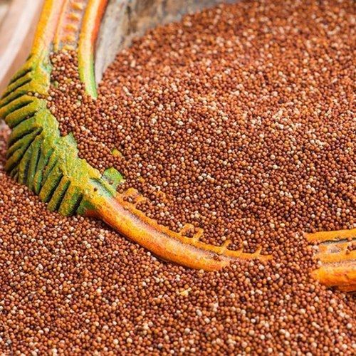 Brown Dried Finger Millet Ragi