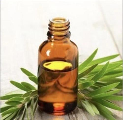 Salasar Aromatics Cold Pressed Tea Tree Oil