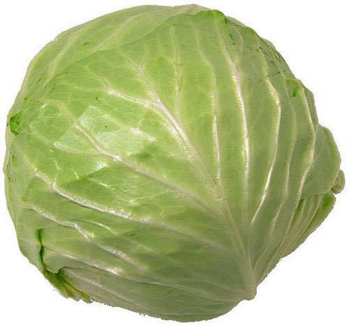 Farm Fresh Green Cabbage