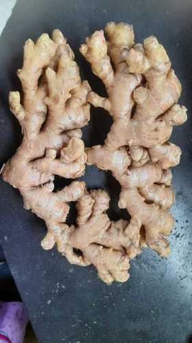 High Grade Fresh Ginger