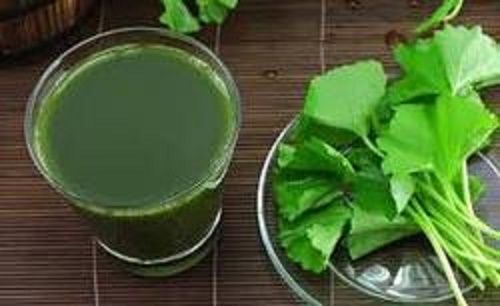 100% Natural Brahmi Juice Cool And Dry Place