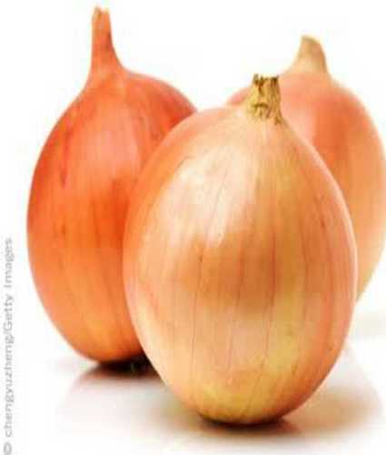 Organic Pink Fresh Onion