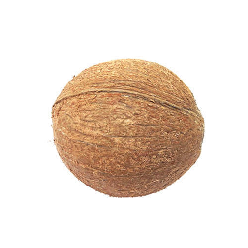 Healthy and Natural Fully Husked Coconut