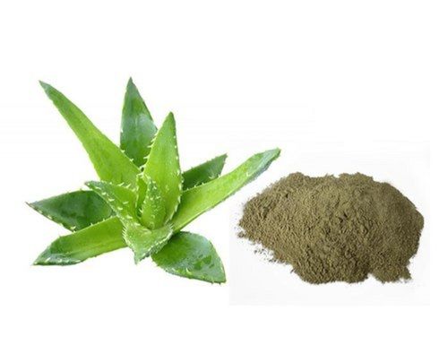 Herbal Dried Aloe Vera Extract Powder Recommended For: All