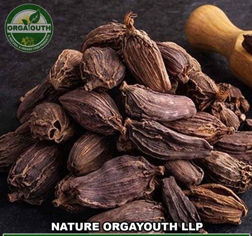 Natural Organic Black Cardamom (Doda Elaichi)