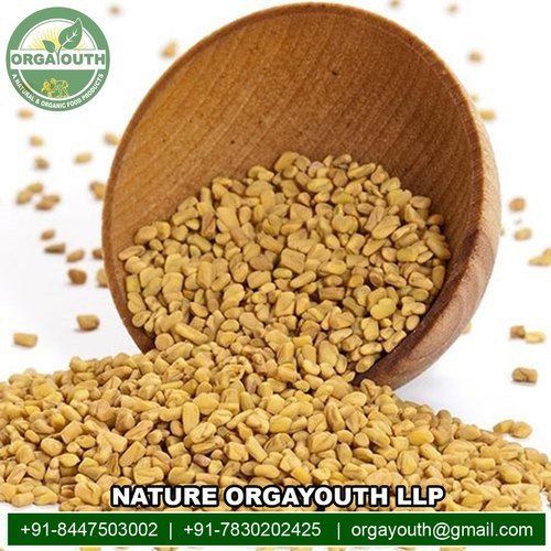 Organic Fenugreek (Methi) 25Kg