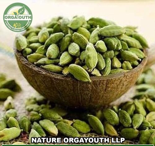 Organic Green Cardamom (Elaichi)