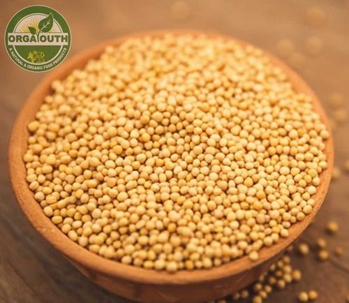 Natural Organic Yellow Mustard Seed (Sarso)