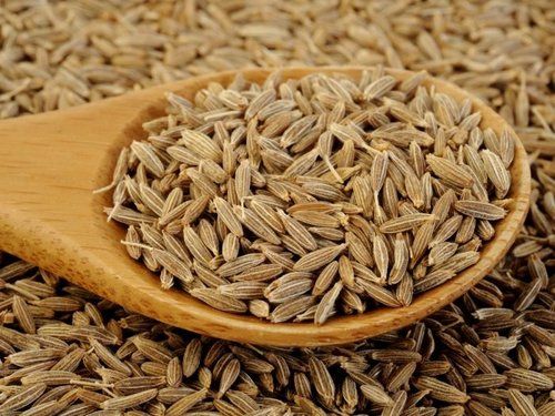 Healthy And Natural Organic Dried Cumin Seeds