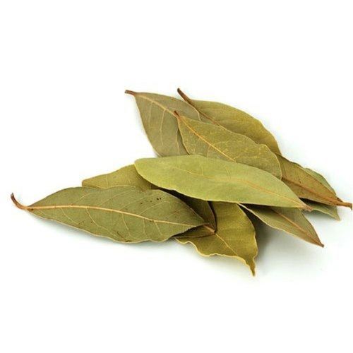 Dried Green Aromatic Bay Leaf