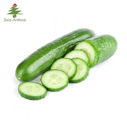 Farm Fresh Green Cucumber Kheera