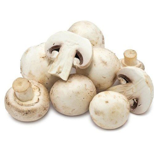 White Fresh Whole Button Mushroom