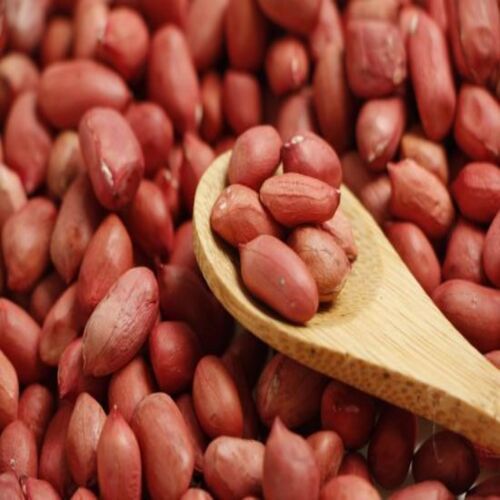 Healthy And Natural Organic Groundnut Seeds Grade: Food Grade