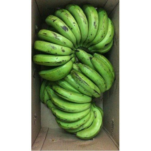 Organic Farm Fresh Green Banana Fruit