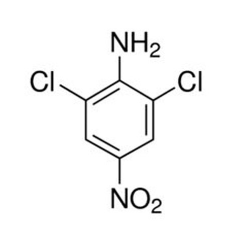 2,6-Di Chloro Para Nitro Aniline Cas No: 99-30-9