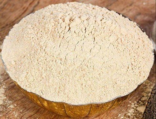 Fine Spray Dried Garlic Lehsun Powder