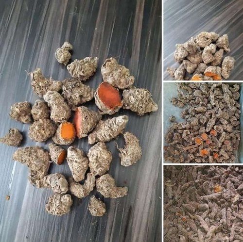 Organic Panangali Mother Raw Turmeric