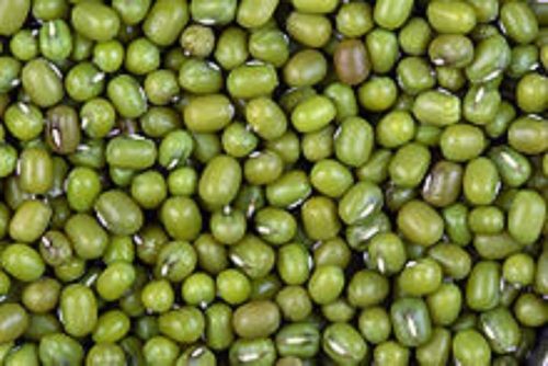 Organic Whole Green Moong Gram Origin: India