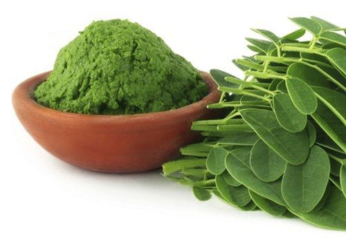 Dried Herbal Green Moringa Leaf Powder
