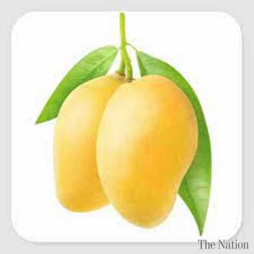 Sweet Fresh Mango Fruits