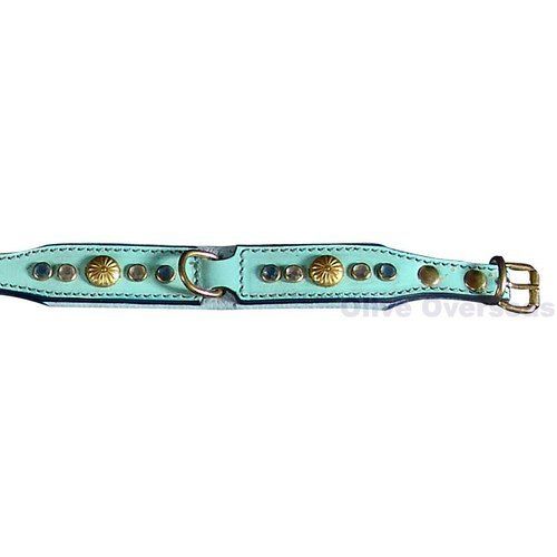 Fancy Dog Collars