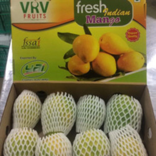 Healthy and Natural Fresh Bangnapalli Mangoes