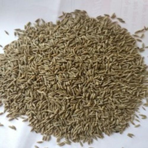 Healthy and Natural Cumin Seeds