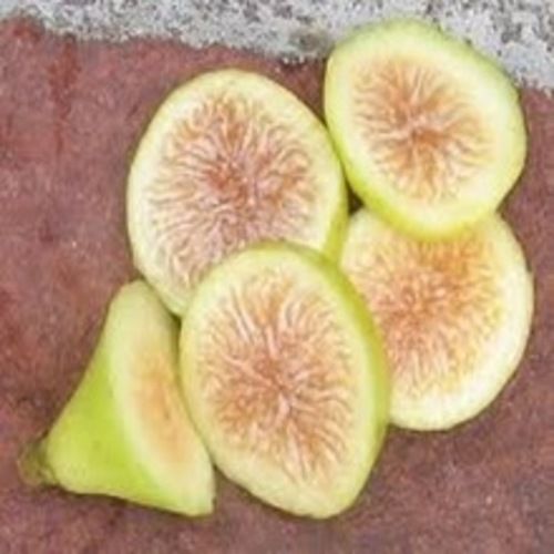 Healthy and Natural Fresh Fig