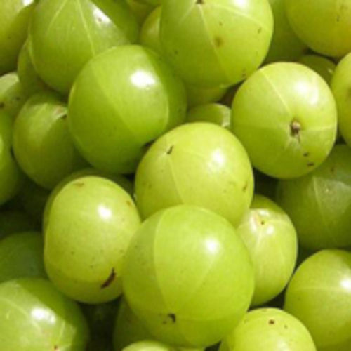 Green Healthy And Natural Fresh Gooseberry