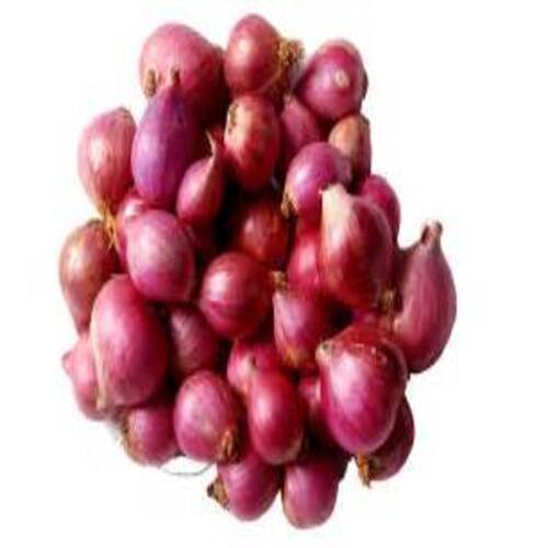 Healthy and Natural Fresh Small Onion