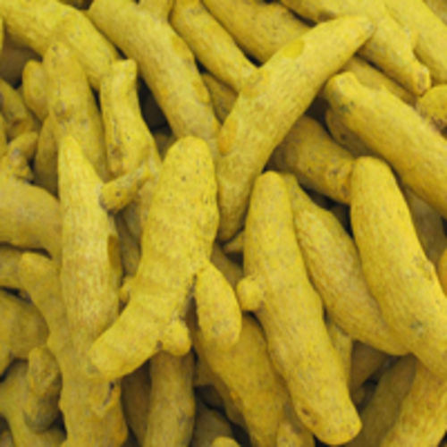 Healthy and Natural Organic Dried Turmeric Finger