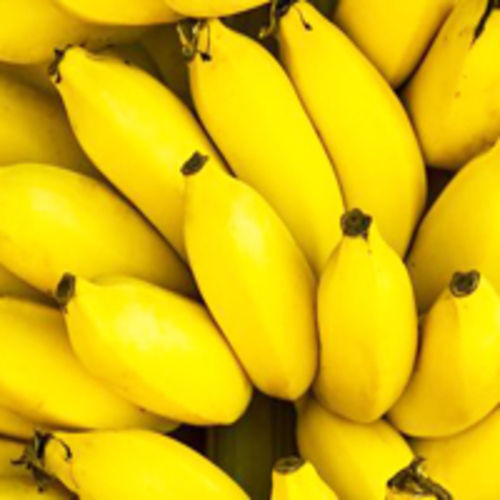 Healthy And Natural Organic Fresh Yellow Banana Origin: India