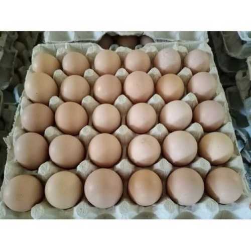 प्राकृतिक भूरे कड़कनाथ अंडे 