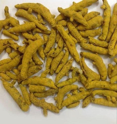 Yellow Unpolished Organic Whole Dried Turmeric Finger Haldi At Best