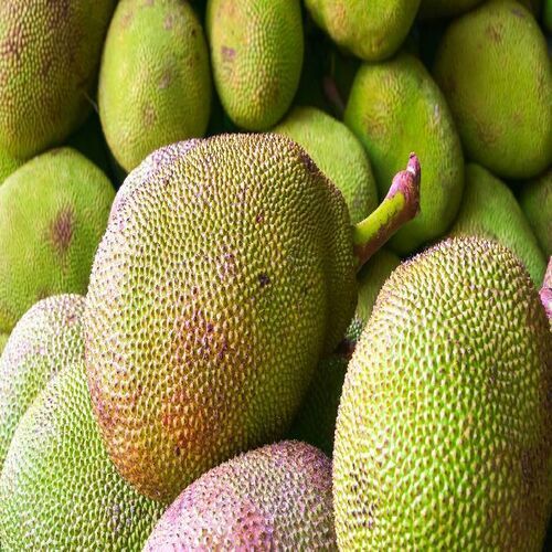 Jackfruit - Artocarpus Heterophyllus 95% Calories, 38g Carbs | Fresh Food Grade Vegetable, Natural Taste, Non Harmful, Cool Storage