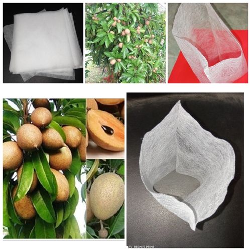 White Non Woven Chiku (Sapota) Fruit Cover