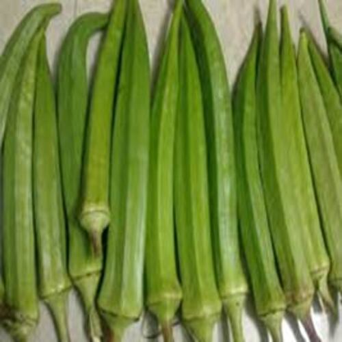 Healthy and Natural Fresh Green Okra