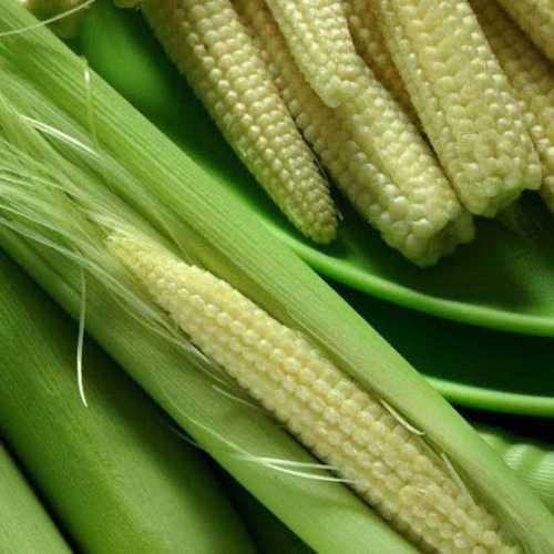 High Protein Baby Corn 